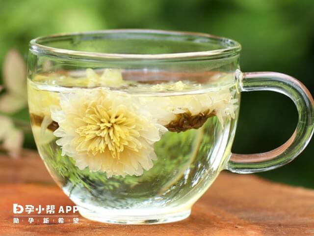 试管移植后是可以喝菊花茶