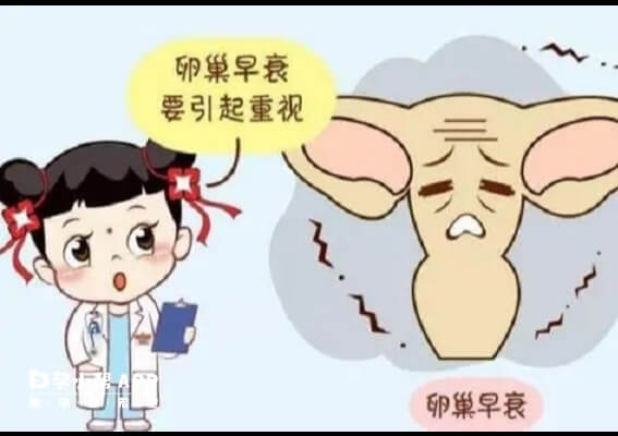 卵巢早衰引起卵泡萎缩