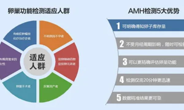 amh是看卵巢储备功能的