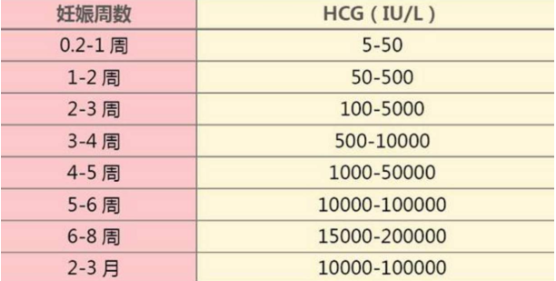 hcg对照表