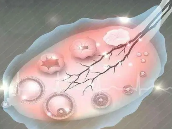 空跑卵取出卵子可查出