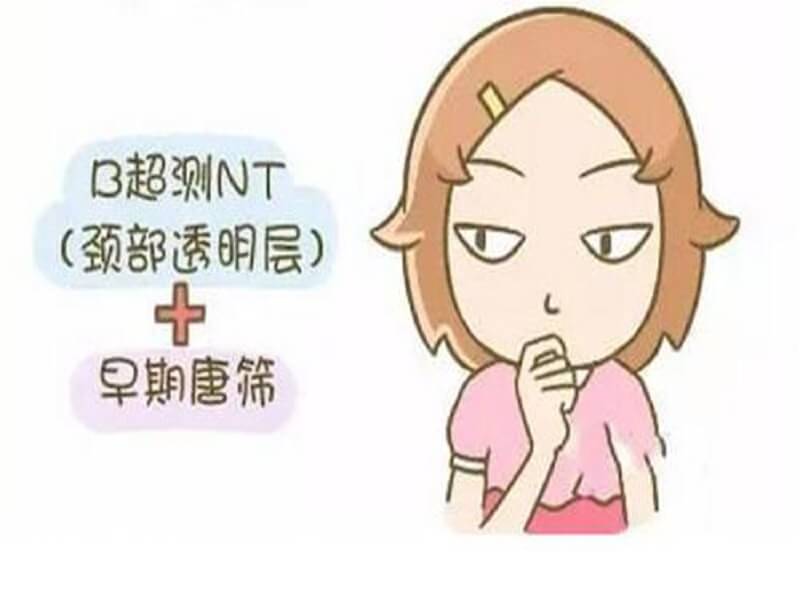 nt检查的详细流程