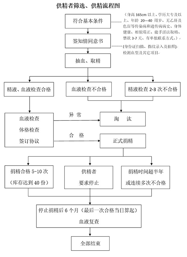 供精人工授精流程