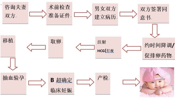 乌克兰试管婴儿流程