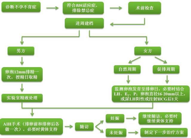 供精人工授精流程