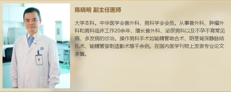 陈晓明