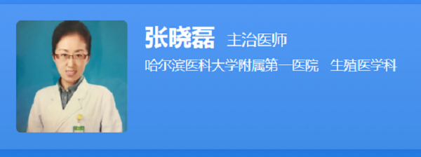 张晓磊