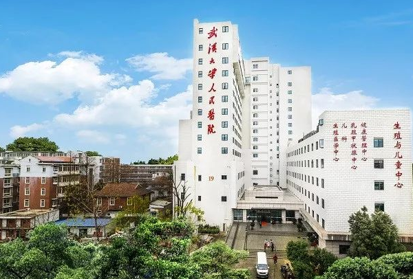 武汉大学人民医院龙文