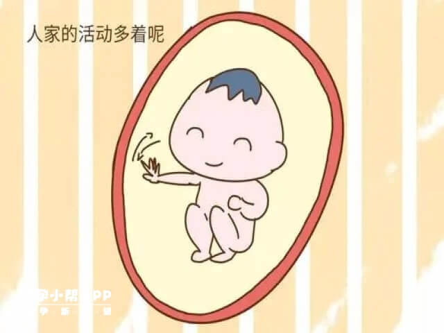 胎儿胎动像马达一样可能是胎儿很兴奋