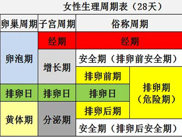 安全期和排卵期对照图不是完全准确