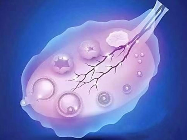 窦卵泡计数可以检查卵巢储备情况